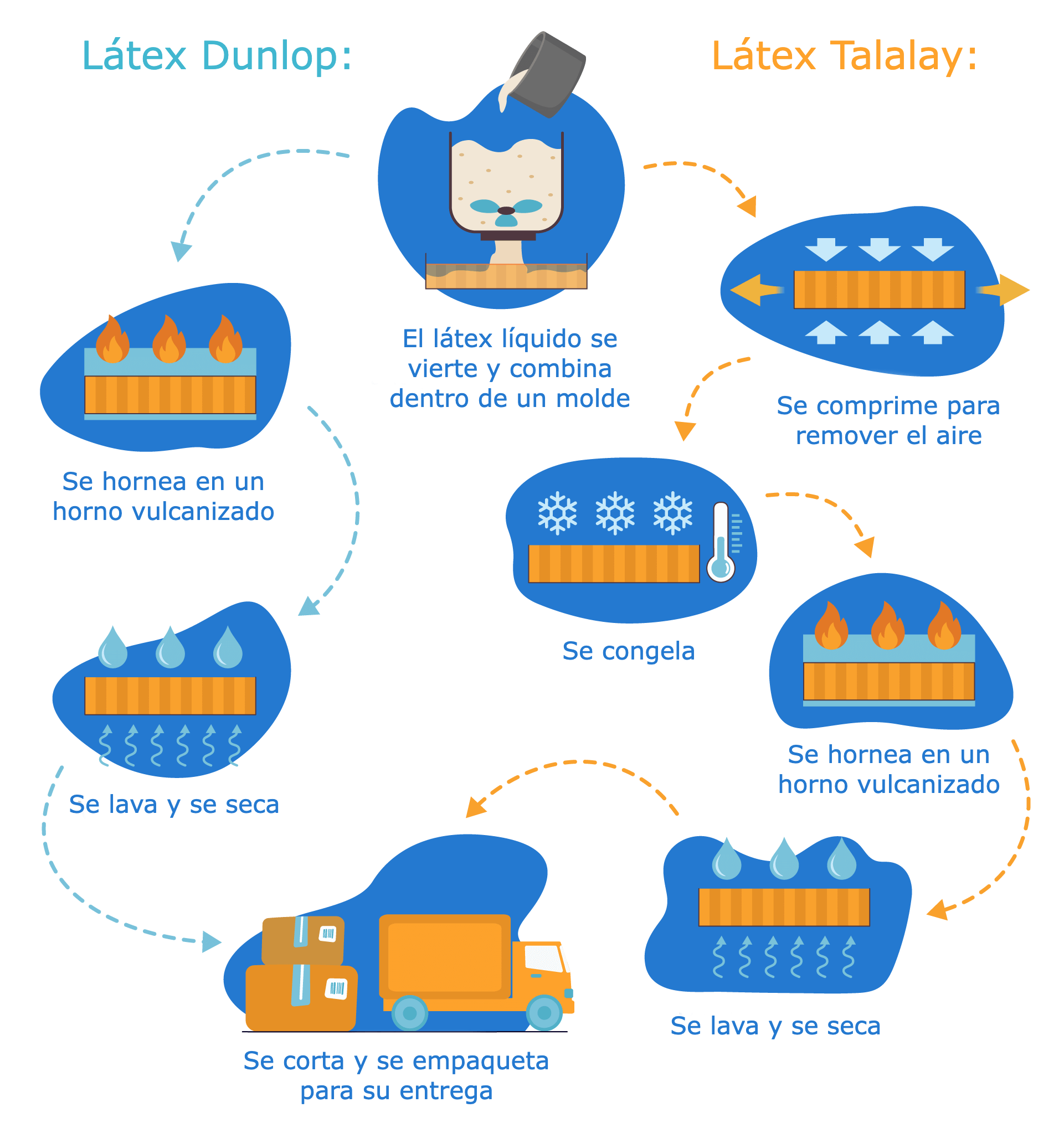 colchones de látex proceso