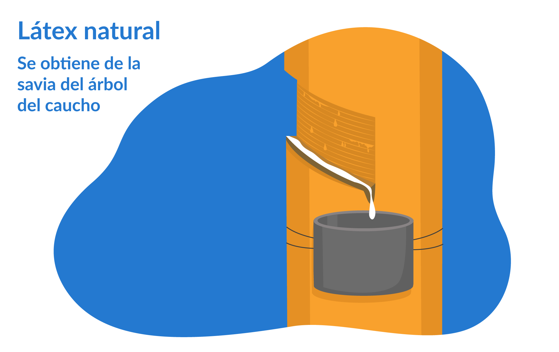 de donde viene el latex 