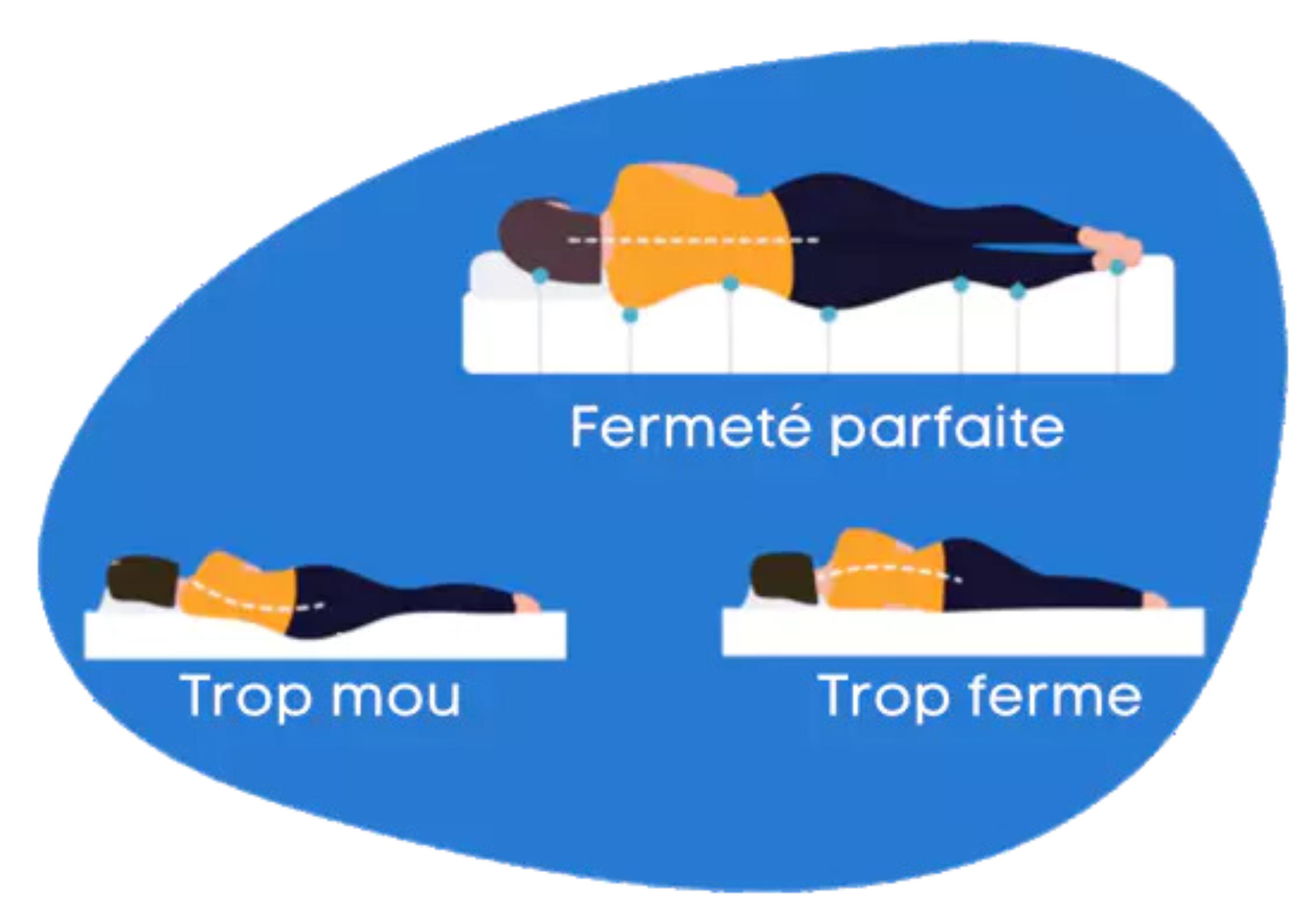 fermeté selon l'alignement de la colonne vertébrale