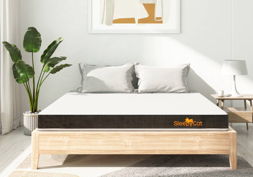 SleepyCat Mattress Review India 2023