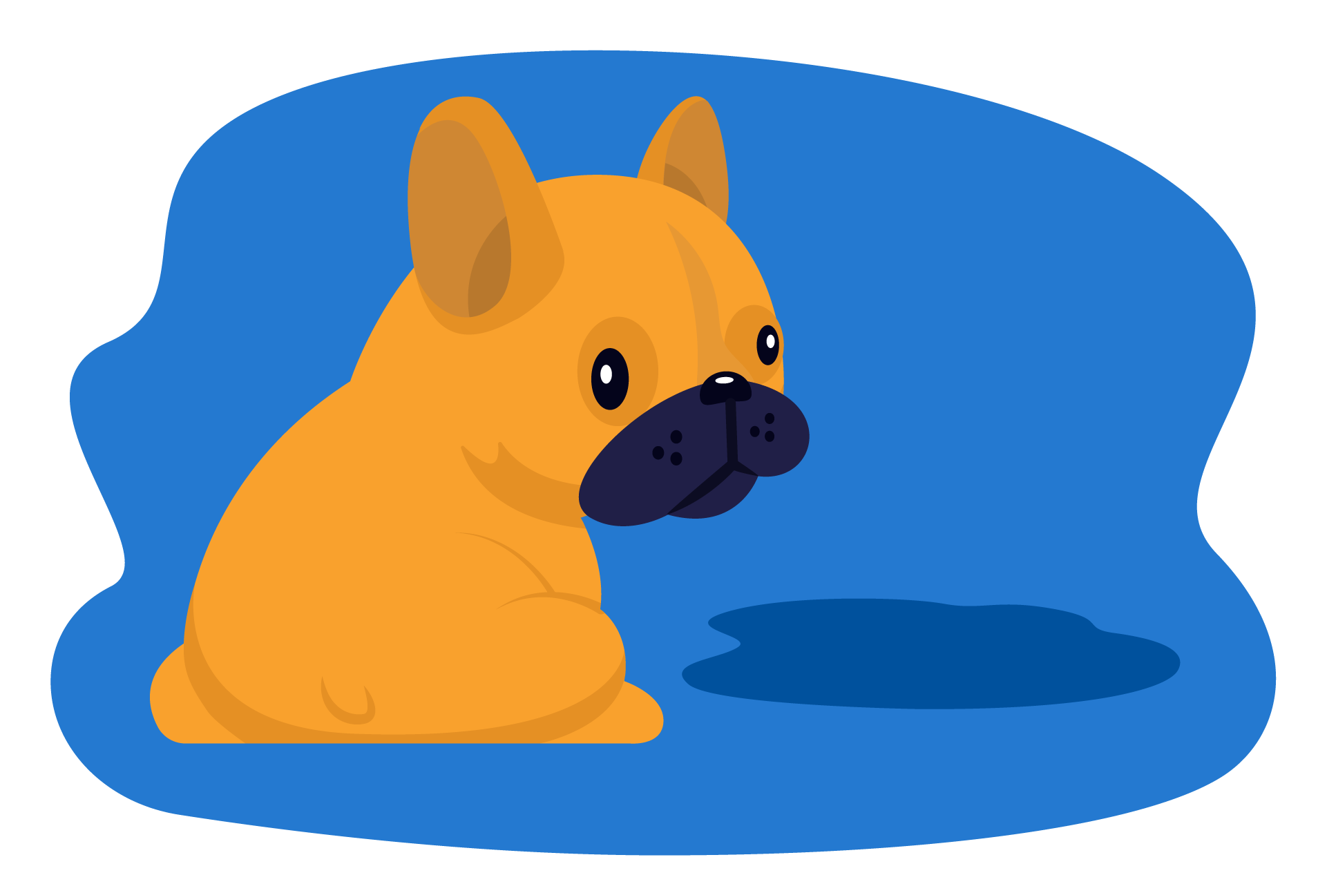 Limpiar pis de perro del colchon