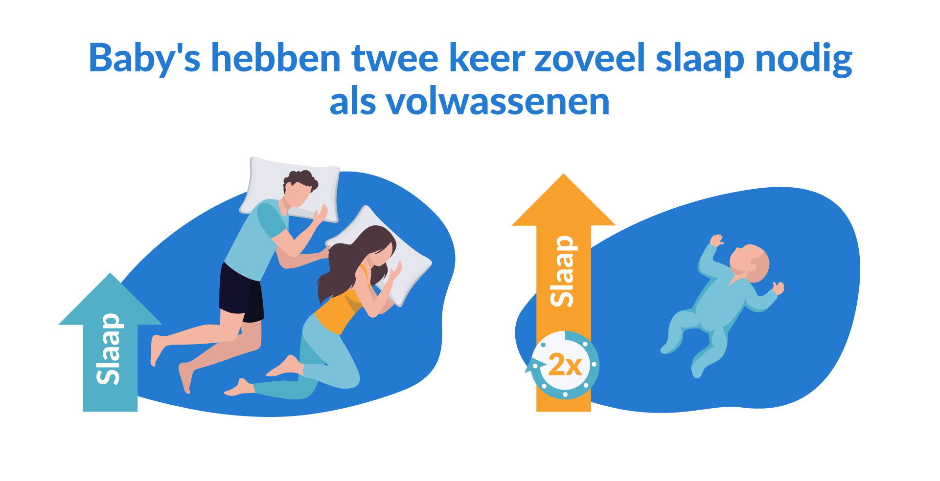 baby's slapen twee keer zo lang als volwassenen