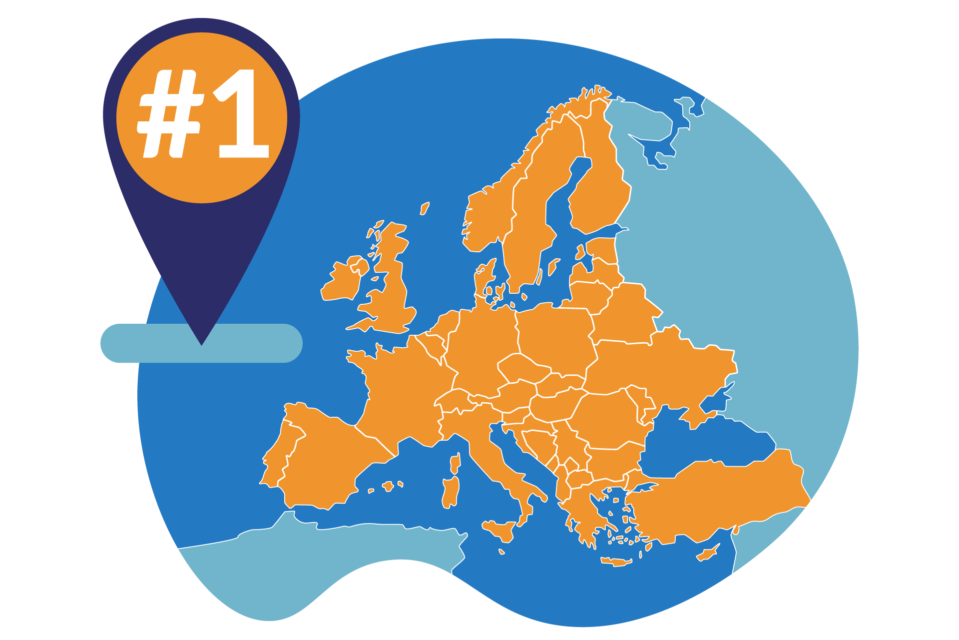 <p>N°1 nel mercato europeo</p>